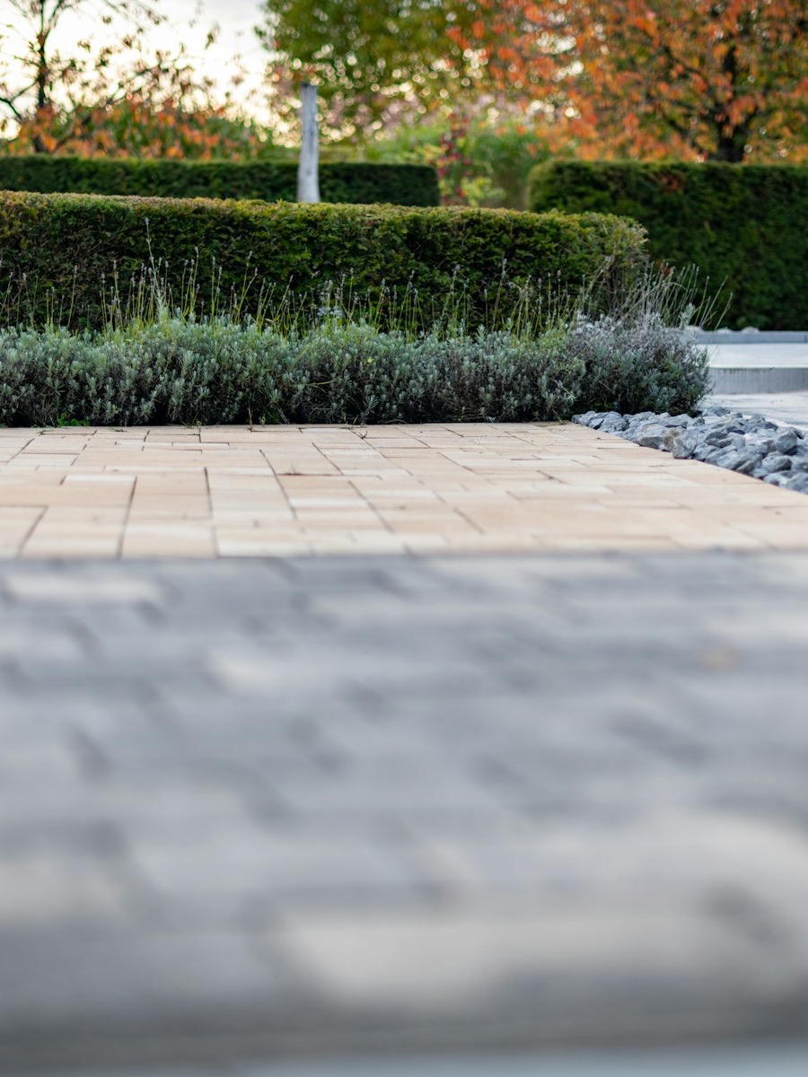 Institutional landscape setting sample image